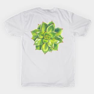 Delicious Succulent Flowers T-Shirt